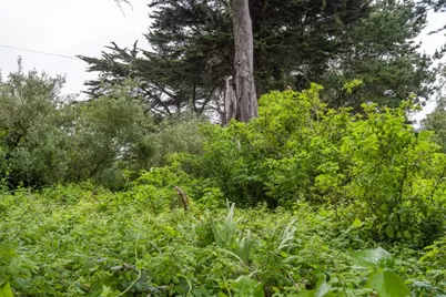 0000 Oak Ave, Moss Beach, CA 94038 - Photo 4