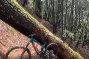 423 Hillcrest Dr, Aptos, CA 95003 - Photo 36