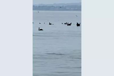 423 Hillcrest Dr, Aptos, CA 95003 - Photo 34