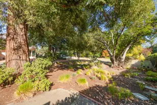 19605 Glen Una Dr, Saratoga, CA 95070 - Photo 10