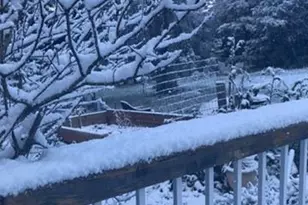 95 Sunlit Ln, Santa Cruz, CA 95060 - Photo 16