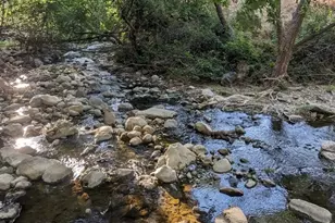 3332 Pepper Tree Ln, San Jose, CA 95127 - Photo 62