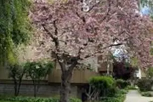 4415 Norwalk Dr 3, San Jose, CA 95129 - Photo 26