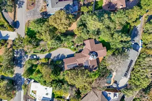 917 Holly Rd, Belmont, CA 94002 - Photo 76