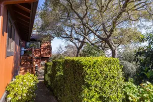 917 Holly Rd, Belmont, CA 94002 - Photo 44