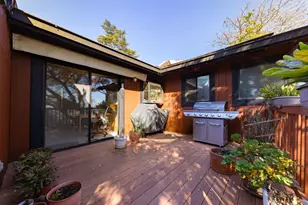 917 Holly Rd, Belmont, CA 94002 - Photo 34