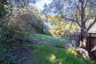 917 Holly Rd, Belmont, CA 94002 - Photo 80