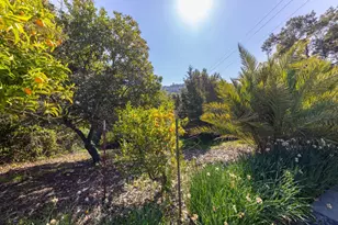 917 Holly Rd, Belmont, CA 94002 - Photo 4