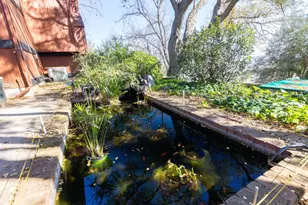 917 Holly Rd, Belmont, CA 94002 - Photo 40