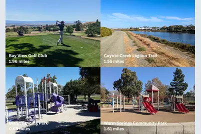 272 Fountain Grass Ter, Fremont, CA 94539 - Photo 62