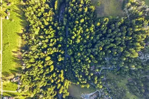 24580 Loma Prieta Ave, Los Gatos, CA 95033 - Photo 6