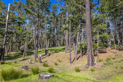 1401 Viscaino Rd, Pebble Beach, CA 93953 - Photo 10