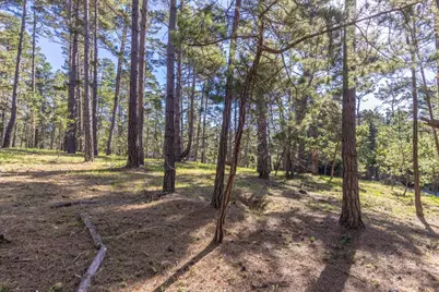 1401 Viscaino Rd, Pebble Beach, CA 93953 - Photo 8