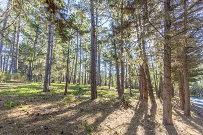 1401 Viscaino Rd, Pebble Beach, CA 93953 - Photo 6
