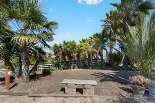 313 Taryn Ct, Hollister, CA 95023 - Photo 50