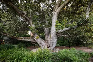 77 Flood Cir, Atherton, CA 94027 - Photo 18