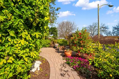 3786 Corina Way, Palo Alto, CA 94303 - Photo 48