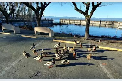 6726 Lakeshore Blvd, Lucerne, CA 95458 - Photo 20