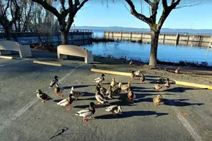 6726 Lakeshore Blvd, Lucerne, CA 95458 - Photo 20