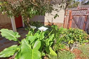 2404 Cipriani Blvd, Belmont, CA 94002 - Photo 6