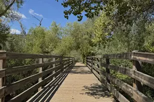 104 Walnut Hill Ct, Los Gatos, CA 95032 - Photo 42