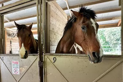 8816 Wine Valley Cir, San Jose, CA 95135 - Photo 50