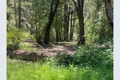 17000 Bear Creek Rd, Boulder Creek, CA 95006 - Photo 4