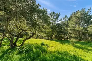 43 Montsalas Dr, Monterey, CA 93940 - Photo 26