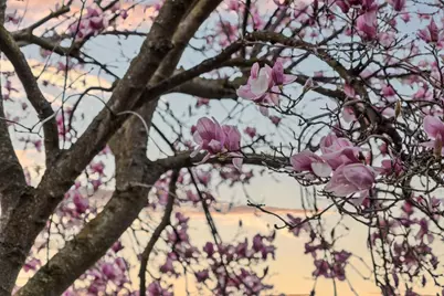 72 Amorok Way, Fremont, CA 94539 - Photo 50