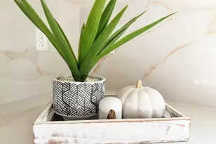 861 Garden St, Milpitas, CA 95035 - Photo 12