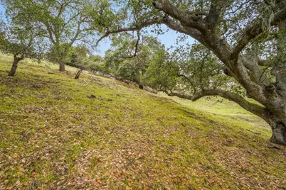 8951 Tea Tree Way, Gilroy, CA 95020 - Photo 10