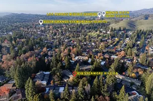 438 Sycamore Hill Dr, Danville, CA 94526 - Photo 28