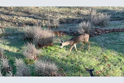 1232 Copper Peak Ln, San Jose, CA 95120 - Photo 48