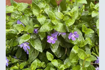 1544 Saguaro Dr, Salinas, CA 93905 - Photo 36