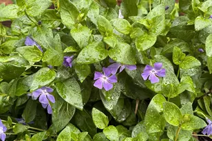 1544 Saguaro Dr, Salinas, CA 93905 - Photo 36