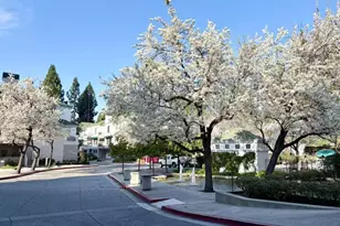 455 Navaro Way 203, San Jose, CA 95134 - Photo 28