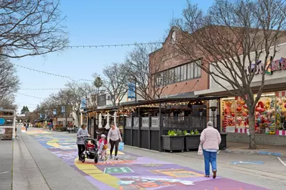 145 Devonshire Blvd, San Carlos, CA 94070 - Photo 44