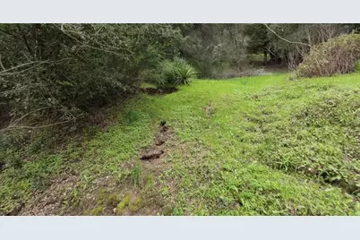 15971 Forest Hill Dr, Boulder Creek, CA 95006 - Photo 6