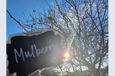 14200 Sycamore Ave, San Martin, CA 95046 - Photo 48