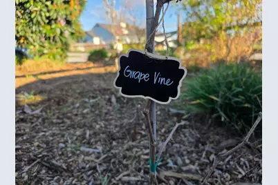 14200 Sycamore Ave, San Martin, CA 95046 - Photo 38