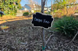 14200 Sycamore Ave, San Martin, CA 95046 - Photo 38