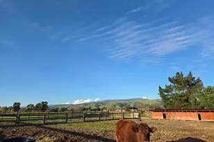 14200 Sycamore Ave, San Martin, CA 95046 - Photo 22