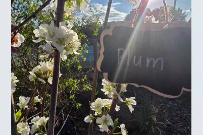 14200 Sycamore Ave, San Martin, CA 95046 - Photo 32