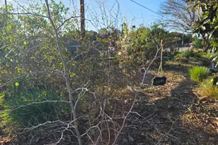 14200 Sycamore Ave, San Martin, CA 95046 - Photo 38