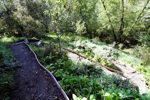 435 Tabor Dr, Scotts Valley, CA 95066 - Photo 42