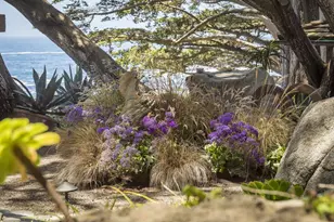 157 163 Spindrift Rd, Carmel, CA 93923 - Photo 98