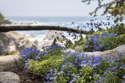 157, 163 Spindrift Rd, Carmel, CA 93923 - Photo 96