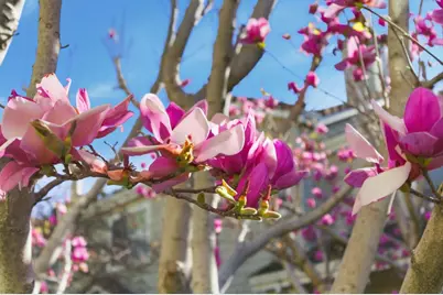 509 Porpoise Bay Ter C, Sunnyvale, CA 94089 - Photo 14