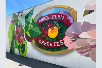 1127 Pascoe Ave, San Jose, CA 95125 - Photo 28