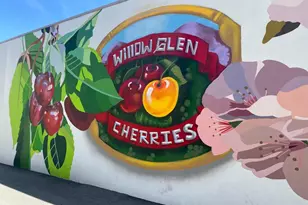 1127 Pascoe Ave, San Jose, CA 95125 - Photo 28